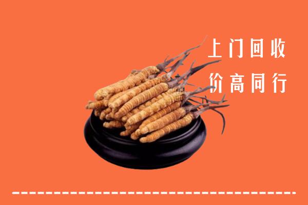高价求购：张家口康保回收散虫草