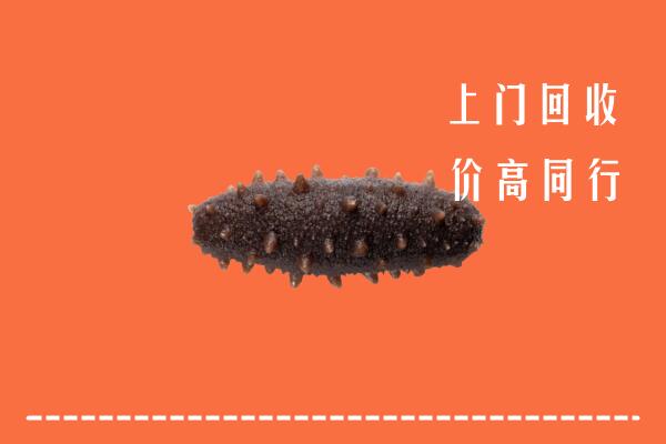 高价求购：张家口康保回收海参