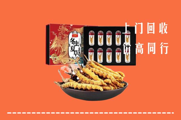 张家口康保回收虫草